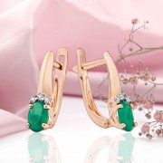 ������ �� �������� ������ 585 ���� ������