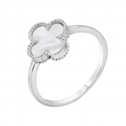 ������� ������ "������" � �����������