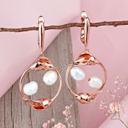 ������ � ��������