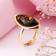 ������������ ������. ������ ������