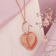 ������� ���� ����� �������� 