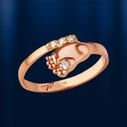 ������ ������� ������� � ������������