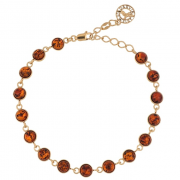 ������������ ������� � �������