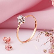 ������� ������ 585 ����� ������ ������� ������ � ������������