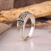 ���������� ������ "����������". ��������