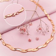 ����� �� �������� ������ 585 �������� �����