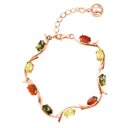 ������������ ������� "����������". ������