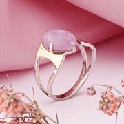 ������ ���������� ������ � ������� � �������� �������