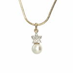 ������� �������� � �������� � ������������