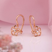 ������� ������ ��� ����� �������� �������