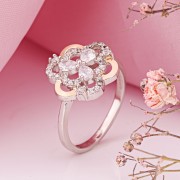 ������ ���������� ������ � ������� � �������� �������