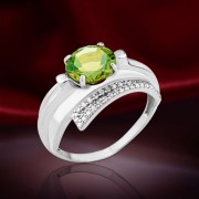 ������ ���������� � ����������. ���������