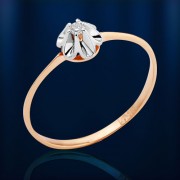 ������ � ������������ �������