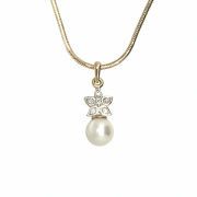 ������� �������� � �������� � ������������