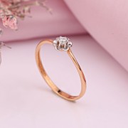 ������� ������ ������ � �����������