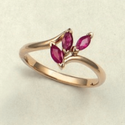 ������� ������ � ��������