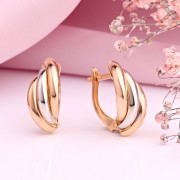 ������ �� �������� ������ 585 ����� �������