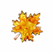 ������������ ����� - �������� ������