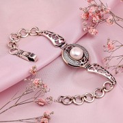 ���������� ������� "����������". ������ � �������