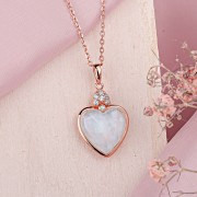 ������������ ��������