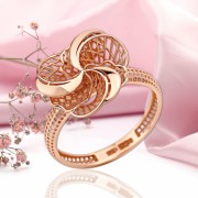 ������� ������ 585