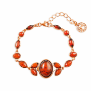 ������������ ������� "��������". ������