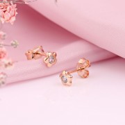 ������� ������ �������� ������ �� �������� ������ �������