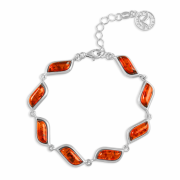 ���������� �������. ������