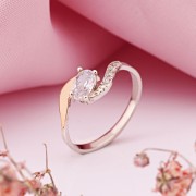 ������ ���������� ������ � ������� � �������� �������