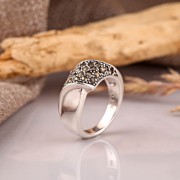 ���������� ������ "��������". ��������