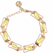 ������������ �������. ������