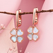 ������ ������� ���� ������ ������ 