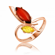 ������������ ������ � ������