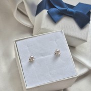 ������-������ �� ������� 925 �������� � ��������