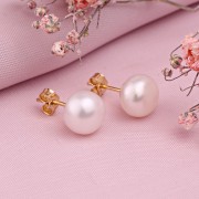 C����� ������ ������ Ƹ���� ������