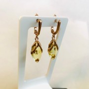 ������������ ������ �������� ������