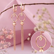 ������� ������-�������� �� �������� ������ 585 ����� � ��������