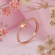 ������� ������ �� �������� ������ 585 ����� � ��������. �������