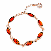 ������������ ������� � �������