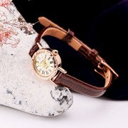 ������� ������� ����