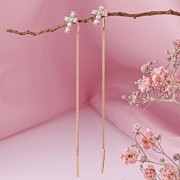 ������-�������� �������� �� �������� ������ 585 ������