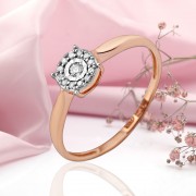 ������ ������� ������ � ������������ � ��������