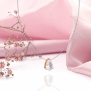 ����� �� ����� ������ 585