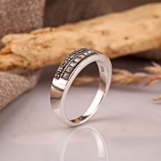 ���������� ������ "���������". ��������