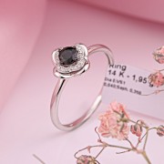 SOKOLOV � �������� ����� ������ 585 ������ � ������������ ������