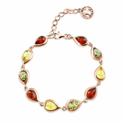 ������������ ������� "���������". ������