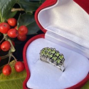 ���������� ������ "��������". �������� � ������