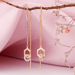 ������� ������ �������� 585