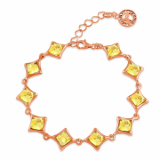 ������������ ������� "���������". ������