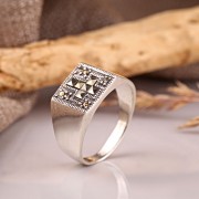 ���������� ������-������� "�����������". ��������